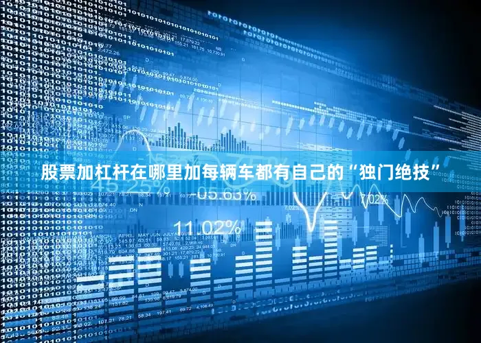 股票加杠杆在哪里加每辆车都有自己的“独门绝技”